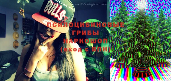 PSILOCYBIN Аркадак