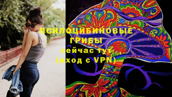 PSILOCYBIN Аркадак