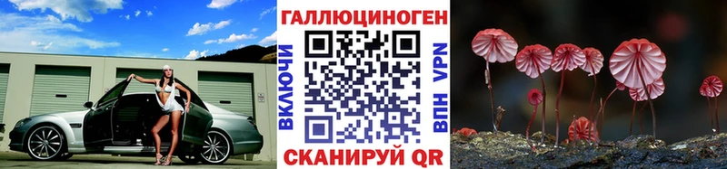 Псилоцибиновые грибы GOLDEN TEACHER  купить   Таруса 